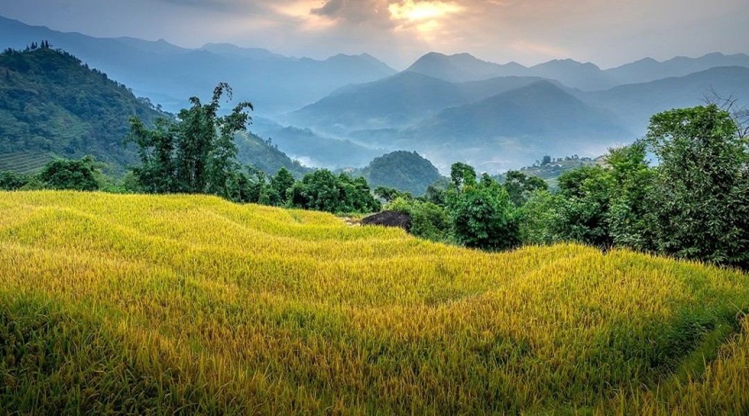 Amansara,Hulawalewadi, Rawade, near Paud