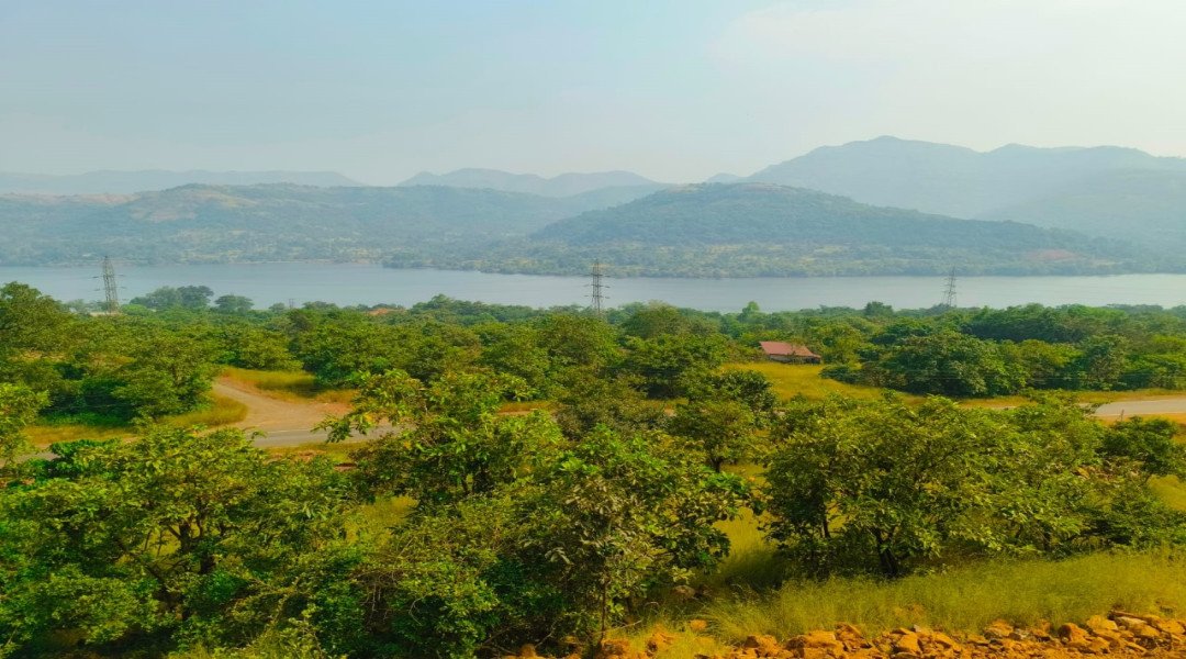Arcadia Nest,Nandivali