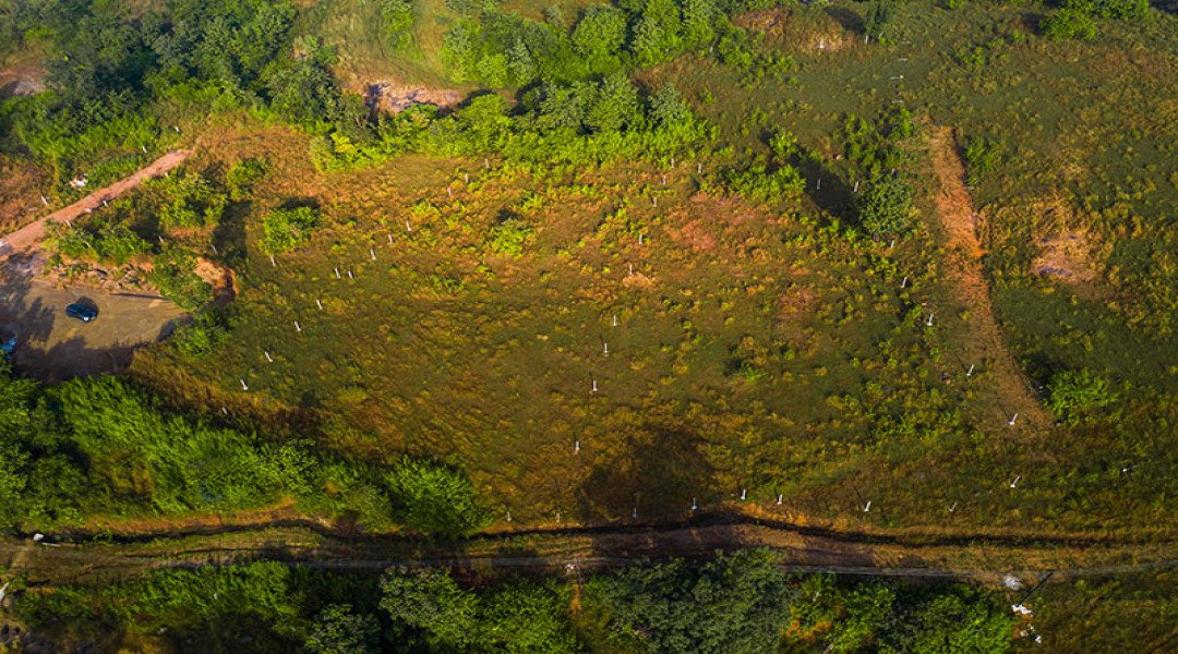 Colonel's Ranch,Khopoli-Pali Road