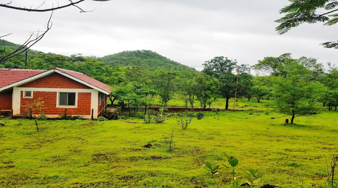 Gold Valley Konkan,Sanaswadi