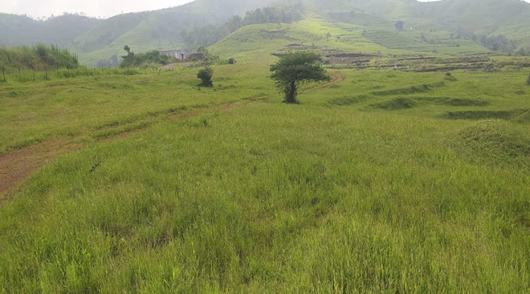 Labhi Farm,Chandkhed