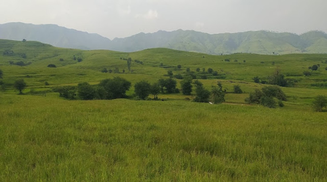 Labhi Farm,Chandkhed