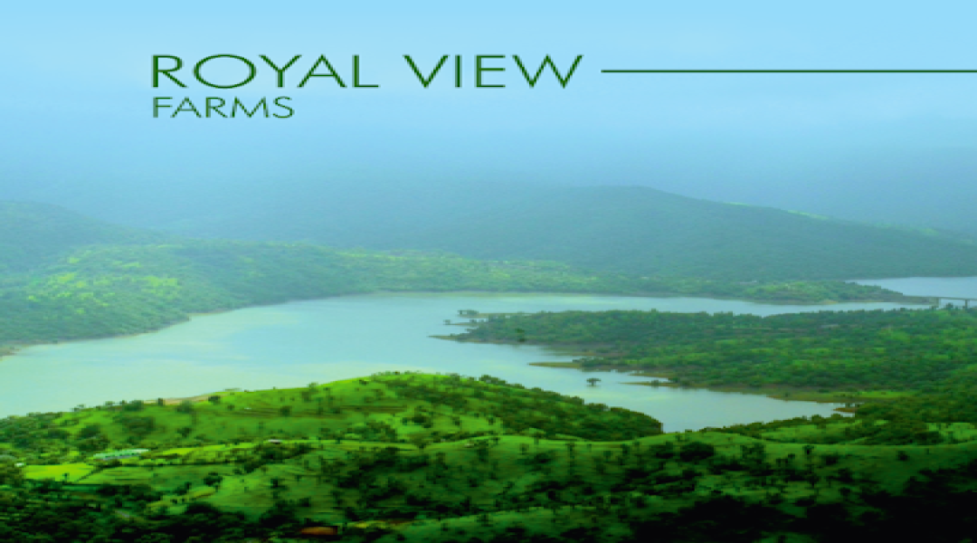 Royal View Farms,Nandivali, Mulshi