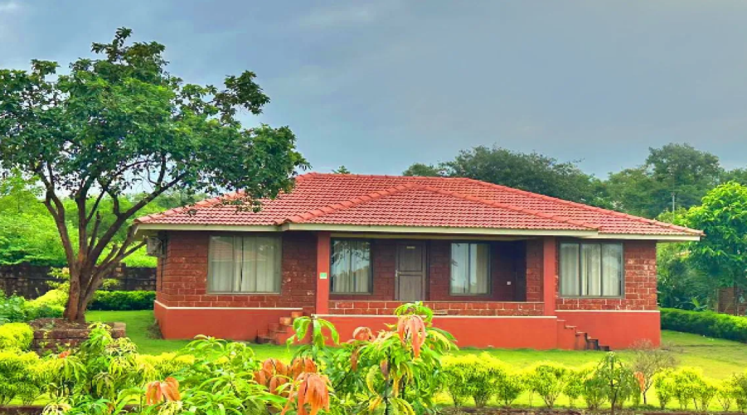 Mango Lakefront,At village Ahir Walne