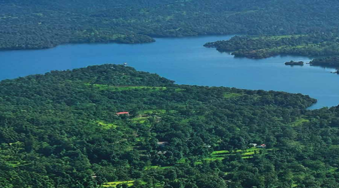 Mango Lakefront,At village Ahir Walne