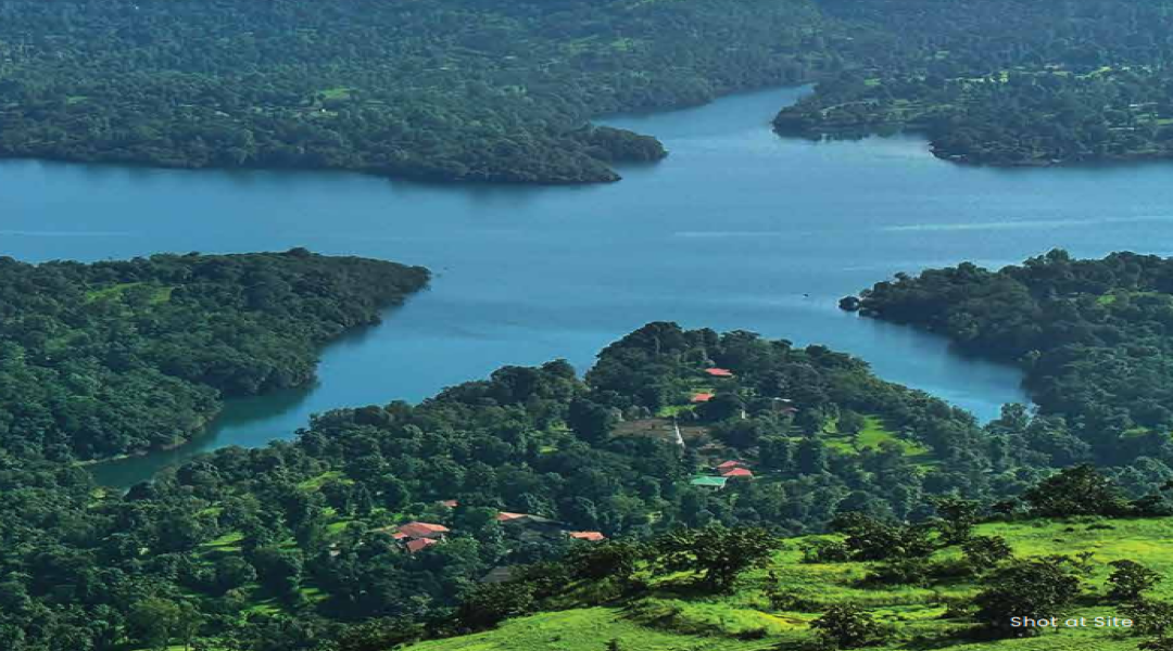 Mango Lakefront,At village Ahir Walne